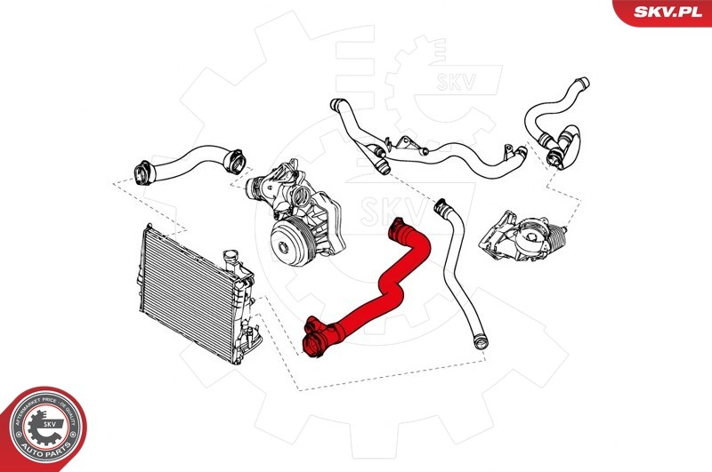 Für SKV GERMANY 43SKV723 RADIATOR HOSE 43SKV723 / # 1225 BMW 3 E46 2.0, 1153224