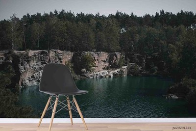 3D Nature Lake Forest Self-adhesive Removeable Wallpaper Wall Mural