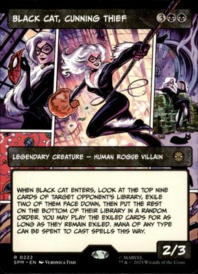 Black Cat, Cunning Thief (Borderless) 222 | Spider-Man MTG | NM