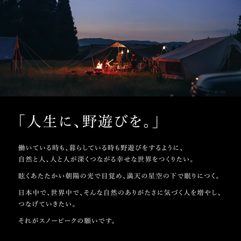 Tienda Snow Peak Land Nest Shelter TP-259 para 4 personas gris 2025 nuevo modelo Japón JP Foto 3 de 4