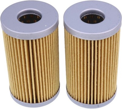 2PCS Fuel Filter 3702815M1 33507 Compatible with 1125 1140 1145 1165 1240 1250 1