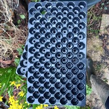 100 cell Plug Plant Seed Trays with Drainage Holes (Pack of 10)