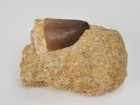 Foto 2 di 11