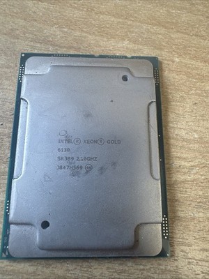 Intel Xeon Gold 6130 x1