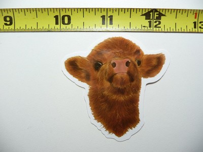 SCOTTISH HIGHLAND CATTLE YOUNG #2 DECAL STICKER RANCH SCOTLAND LAPTOP FUNNY COW