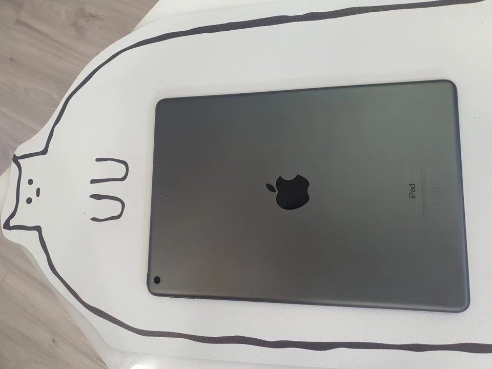 Apple iPad - Grigio A2197 64gb - Angolo Vetro Rotto, Funzionante Al 100% - Immagine 3 di 4