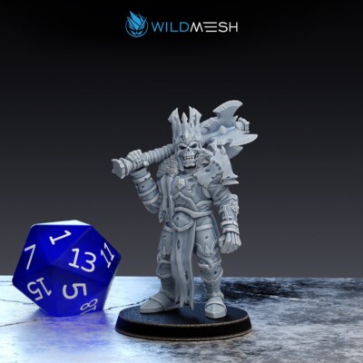 Skeleton King - Wild Mesh/Sci-Fi/Table Top Miniatures