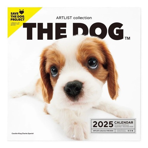 CALENDRIER CAVALIER KING Charles 2026 EUR 19,90 - FR CALENDRIER CAVALIER KING Charles 2026 EUR 19,90 - FR