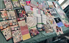 The Happy Planner HUGE lot - stickers, discs, covers, paper, inserts Squad Goals