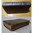 Bild 11 von 21