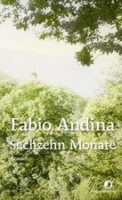 Fabio Andina Karin Diemerling Sechzehn Monate: Roman (Hardback) (UK IMPORT)