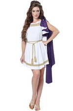 Grecian Greek Goddess Roman Toga Dress Adult Costume
