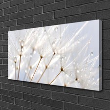 Leinwand-Bilder 100x50 Wandbild Canvas Kunstdruck Pusteblume Pflanzen