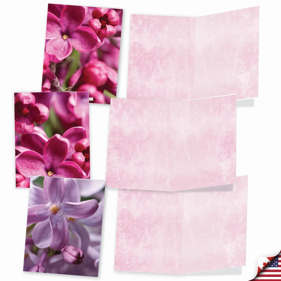 Surtido de 10 tarjetas en blanco para todas las ocasiones - EL COLOR PÚRPURA M6032 Foto 4 de 4