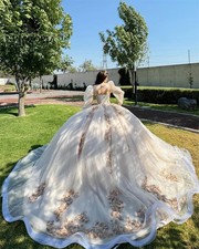 Light Champagne Beaded 3DFlowers Applique Quincenara Dresses Detachable Birthday