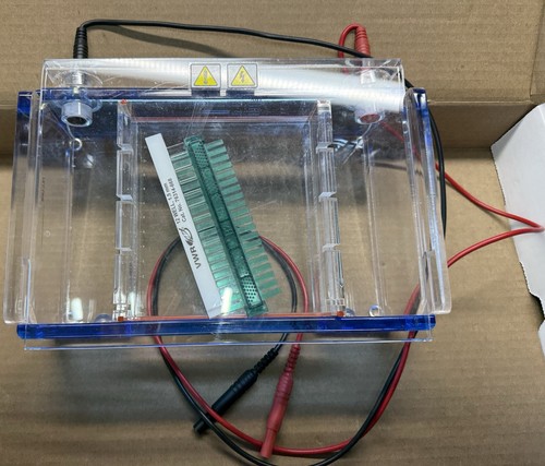 VWR® HORIZONTAL MINI L GEL ELECTROPHORESIS SYSTEM, 76314-778 - Picture 2 of 4