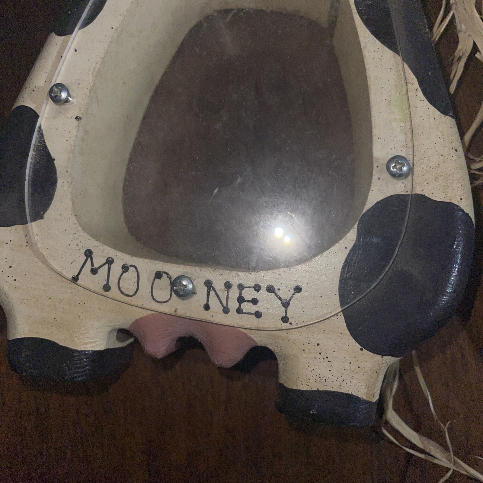 Picture 5 of 13