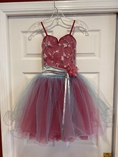 Curtain Call Ballet Dance Costume Pink Blue Love And Kisses - CHILD MEDIUM