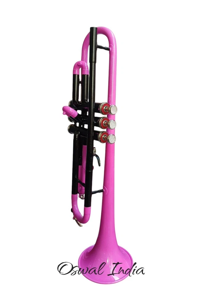 НОВАЯ ТРУБА НОВАЯ РОЗОВАЯ ЧЕРНАЯ ЛАТУННАЯ ОТДЕЛКА BB КЛЮЧИ ТРУБА БЕСПЛАТНЫЙ ЖЕСТКИЙ ЧЕХОЛ - Изображение 3 из 4