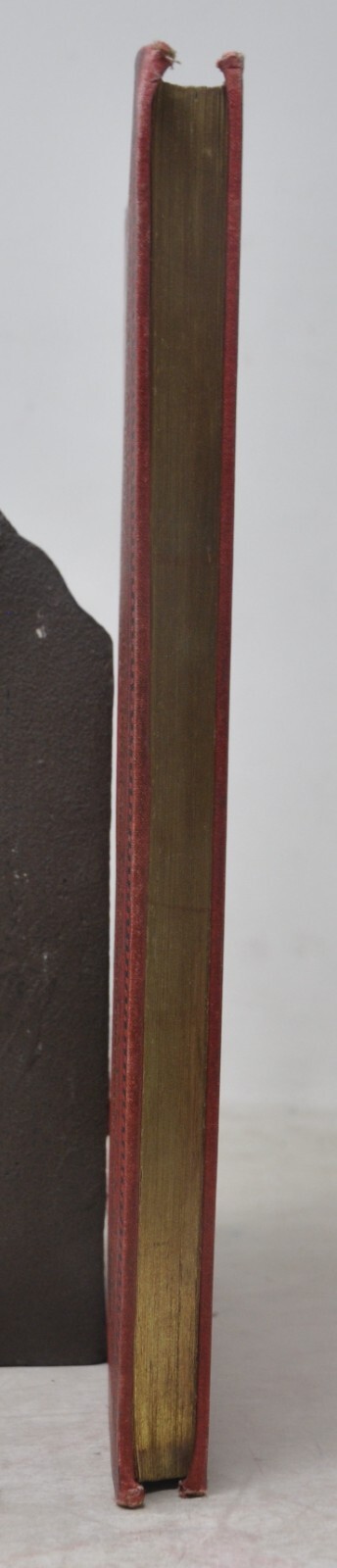 Photo 5/11