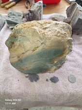 Polished Petrified Swamp Bog Wood McDermitt, 131 Oz Rare Beautiful Specimen 