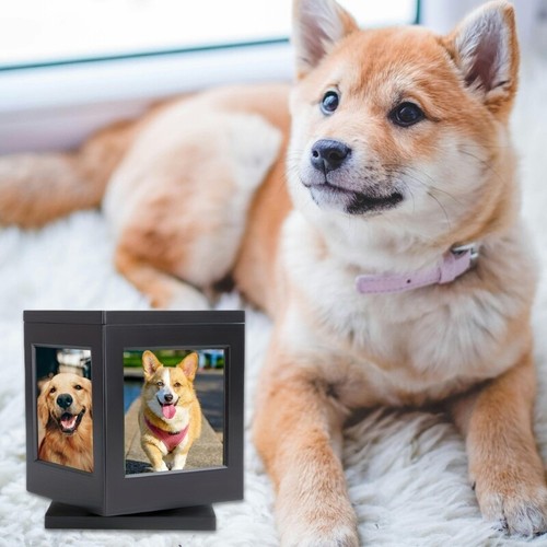 Rotating Dog Funeral Casket Urns Box Cats Memorial Box for Pet Loss Home Decors - Picture 5 of 8