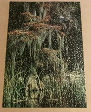 vintage 1973 Springbok 350 piece puzzle Bayou - complete