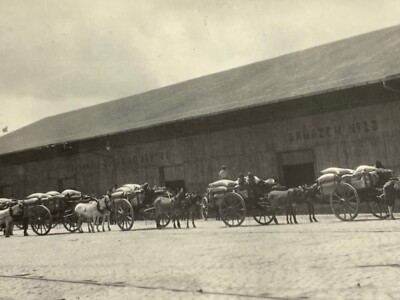 (AnC) FOUND Photograph Brazil Lembranca De Santos Docas Armazem Horse Wagon