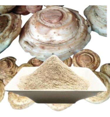 ORGANIC SACHA JERGON POLV0 100 GR 100 % NATURAL FROM PERU !!!