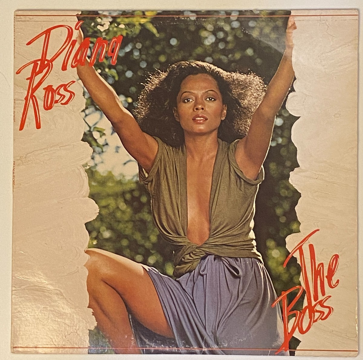 Diana Ross 国内プロモ盤　ウルトラレア　レアグルーヴ　ソウル Diana Ross 国内プロモ盤 ウルトラレア レアグルーヴ ソウル Diana Ross
