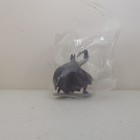 Picture 10 of 10