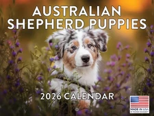 Australian Shepherd Puppy Calendar 2026 Monthly Wall Calender 12 Month | America