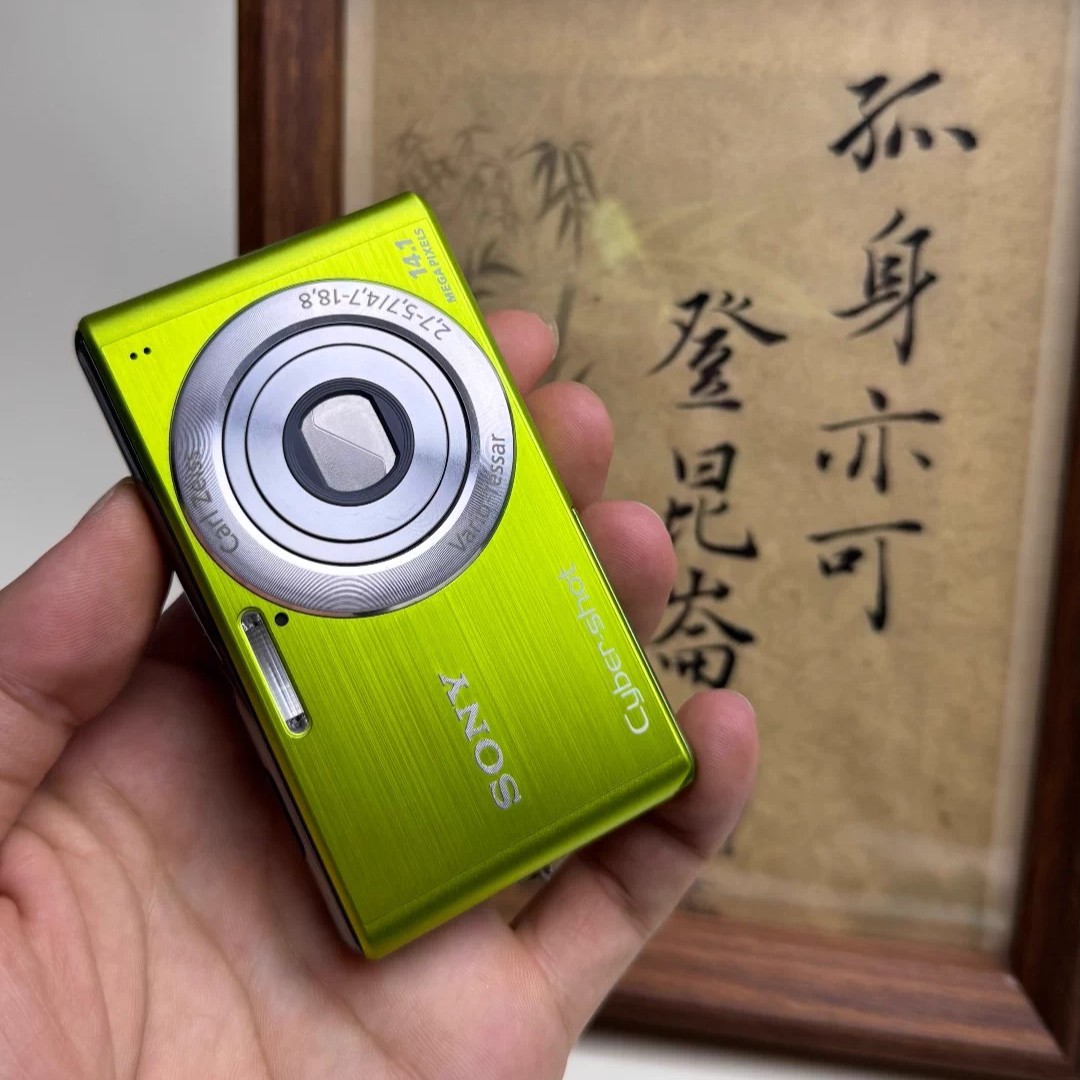 SONY Cyber-shot DSC-W530 Digital Camera 14.1 MP 4x Optical Zoom