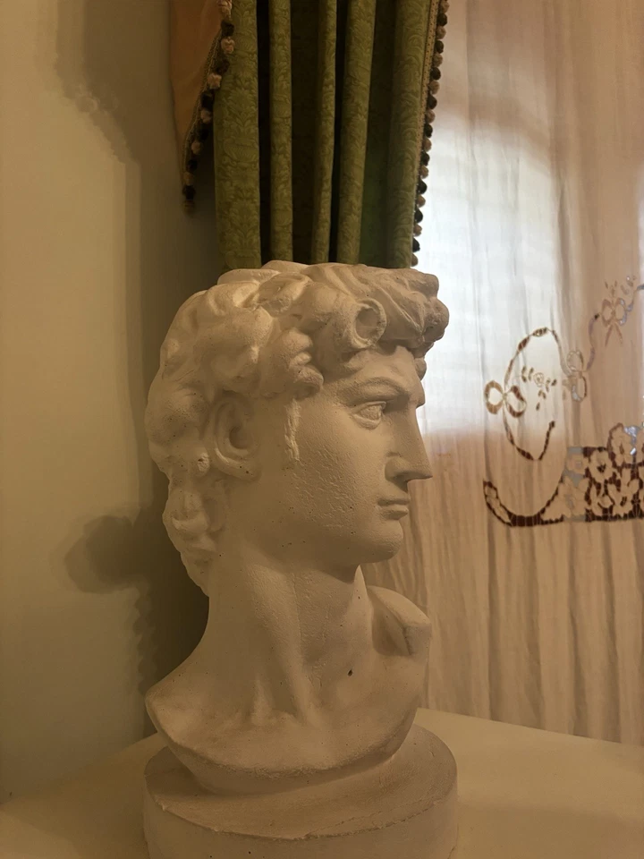 Busto in gesso del David di Michelangelo – 50 cm, anni ’90, ottime condizioni - Immagine 3 di 3