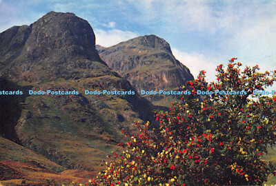 D010806 Glencoe. Argyllshire Schottland Blick nach Südwesten über den Glen zum Ausrüsten