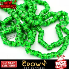 Pigeon Bands Foot Rings With Word Earrings Quality Durable Green Color 50-Pcs