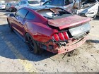 Foto 15 di 24