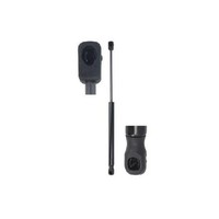 2X Gasfeder Kofferraum Hinten FüR Seat Altea 5P 2.0 06 Bis 15 Magnum BZB Cdaa