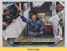 2024-25 Upper Deck Series 2 UD Canvas Young Guns Ethan Cardwell #C216 READ y9n