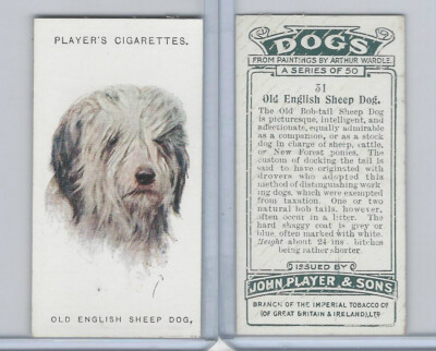 tobacco and dogs Animals smoke Tobacco Leaf Foo Dogs, Pink