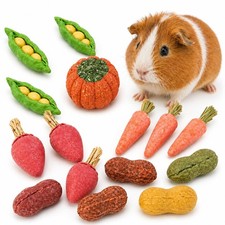 HERCOCCI 15Pcs Guinea Pig Chew Toys, Hamster Toys Prevent Excessive colorful