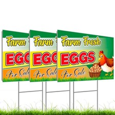 12x16 Inch 3X Double Sided Sign Plastic Eggs for Sale 12" x 16", colorful