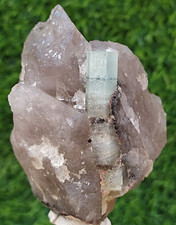 Aquamarine Crystal with Garnet & Tourmaline on Quartz (CG 401`) Daylight Photos