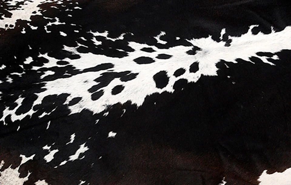 100% Original Kuhfell Teppich Bereich Skin Leder 22.92 Sq.feet (152cmx140cm) - Bild 2 von 3