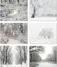 Winter Scenes Cards-Blank Inside with Envelopes-5.5"x4.25"-12 or 24 Packs
