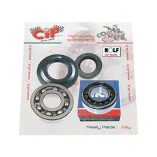 REVISIONE ALBERO MOTORE CUSCINETTI SKF +VESPA RALLY 180 - 200  PARAOLI -