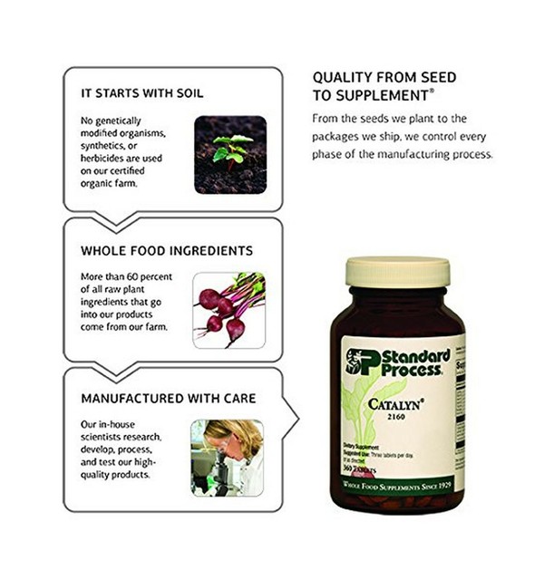 Choline 90 Tablets Standard Process 2565 for sale online eBay