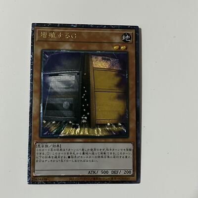 CUSTOM|Maxx ''C''|Ultimate|JP|DIY DisplayONLY
