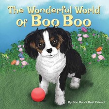 			The Wonderful World Of Boo Boo.New 9781633021136 Fast Free Shipping<|		