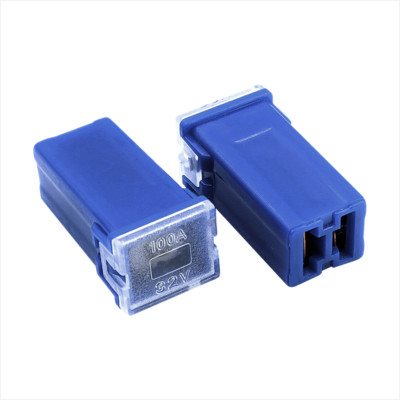 PAL Cartridge Female Mini Fuse FLS 100 Amp - 6 Pack 